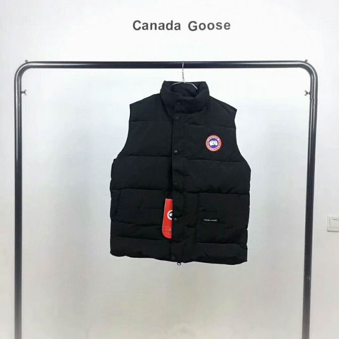 canada goose-024